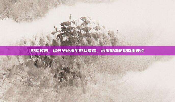 游戏攻略,提升绝地求生游戏体验,选择固态硬盘的重要性
