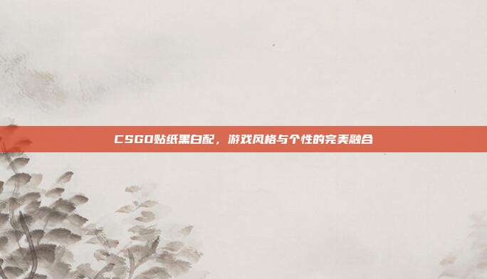 CSGO贴纸黑白配,游戏风格与个性的完美融合