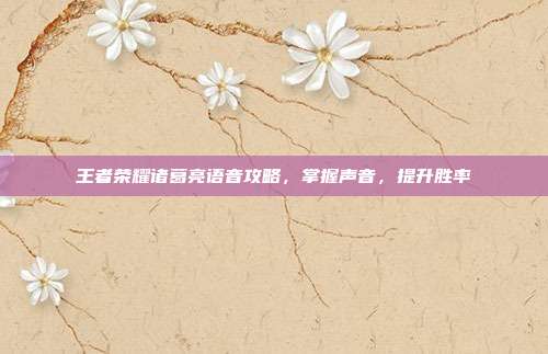 王者荣耀诸葛亮语音攻略，掌握声音，提升胜率