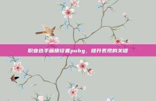 职业选手画质设置pubg,提升表现的关键