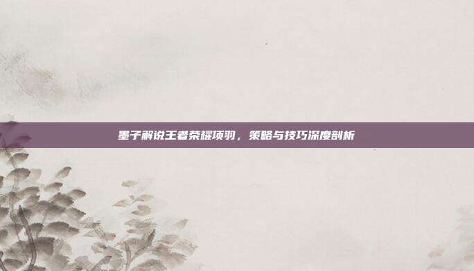 墨子解说王者荣耀项羽，策略与技巧深度剖析