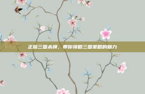 正版三国杀牌，带你领略三国策略的魅力
