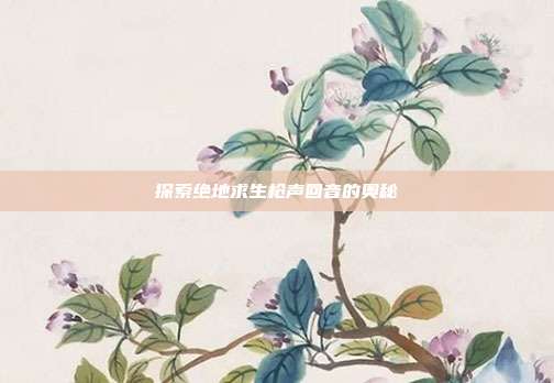 探索绝地求生枪声回音的奥秘