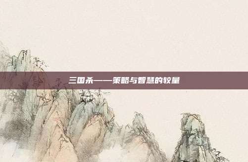 三国杀——策略与智慧的较量