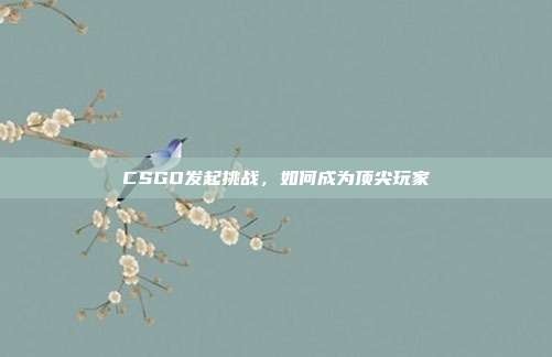 CSGO发起挑战,如何成为顶尖玩家