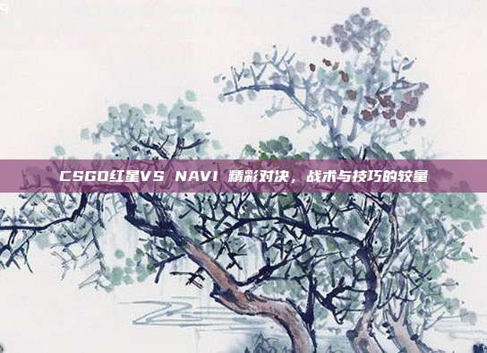 CSGO红星VS NAVI 精彩对决，战术与技巧的较量