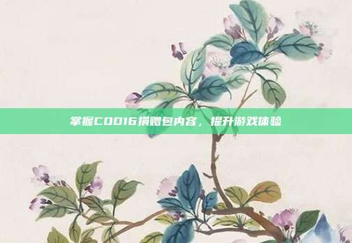 掌握COD16捐赠包内容，提升游戏体验