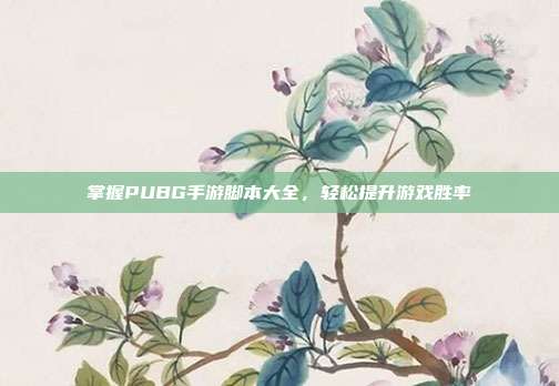 掌握PUBG手游脚本大全,轻松提升游戏胜率