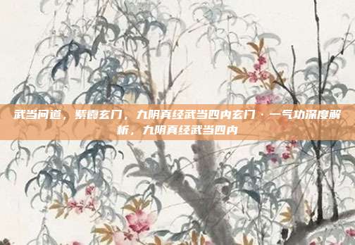 武当问道，紫霞玄门，九阴真经武当四内玄门·一气功深度解析，九阴真经武当四内