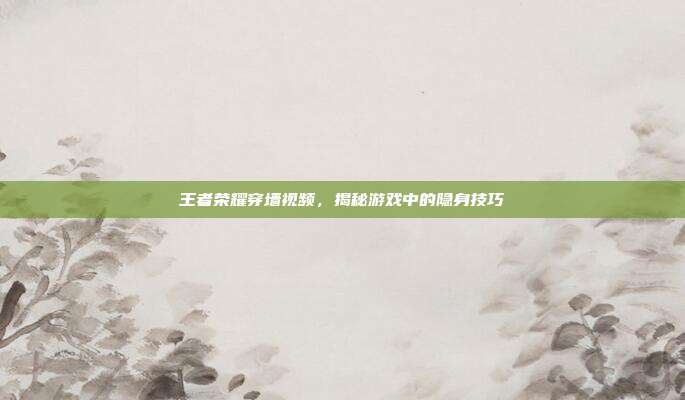 王者荣耀穿墙视频,揭秘游戏中的隐身技巧
