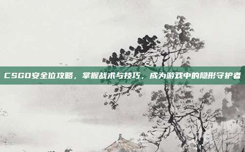 CSGO安全位攻略,掌握战术与技巧,成为游戏中的隐形守护者