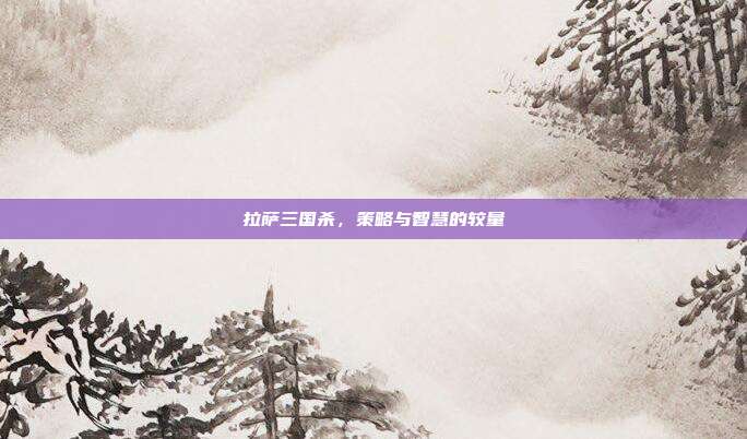 拉萨三国杀，策略与智慧的较量