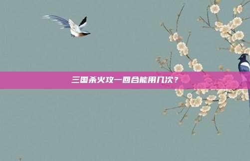 三国杀火攻一回合能用几次？