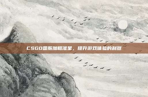 CSGO国服加粗准星，提升游戏体验的利器