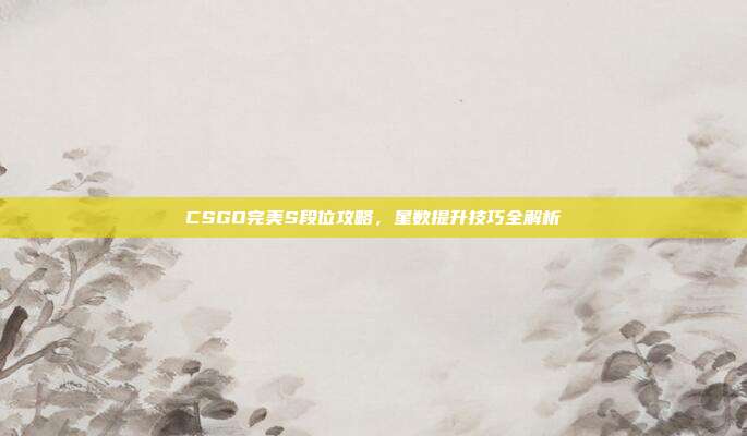 CSGO完美S段位攻略,星数提升技巧全解析