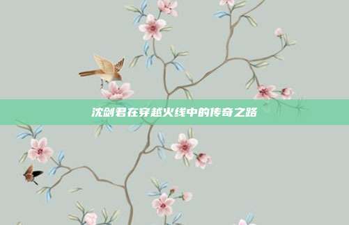 沈剑君在穿越火线中的传奇之路