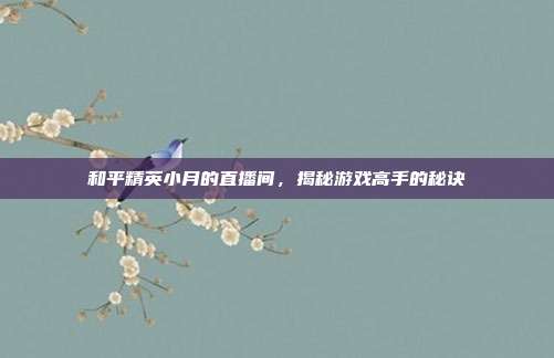 和平精英小月的直播间，揭秘游戏高手的秘诀
