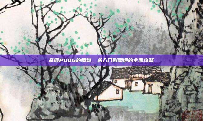 掌握PUBG的精髓，从入门到精通的全面攻略