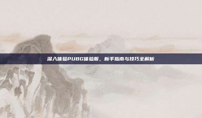 深入体验PUBG体验服,新手指南与技巧全解析
