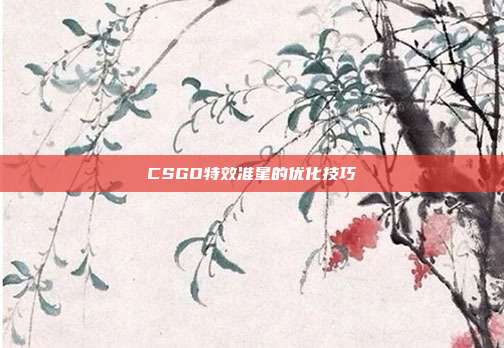 CSGO特效准星的优化技巧