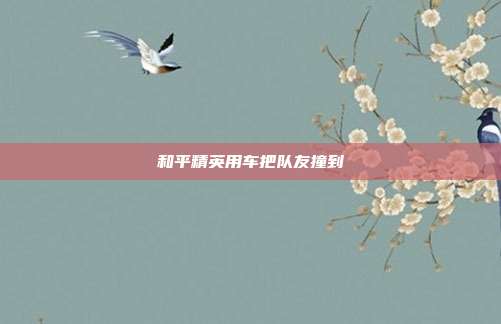 和平精英用车把队友撞到