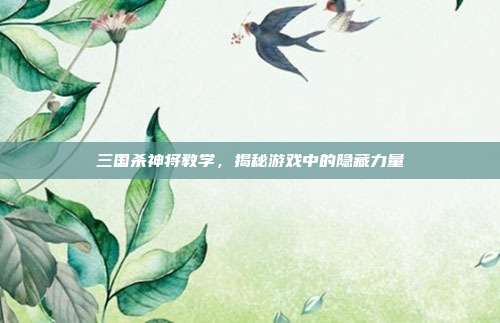 三国杀神将教学,揭秘游戏中的隐藏力量