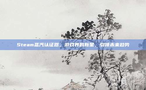 Steam蒸汽认证器，游戏界的新星，引领未来趋势