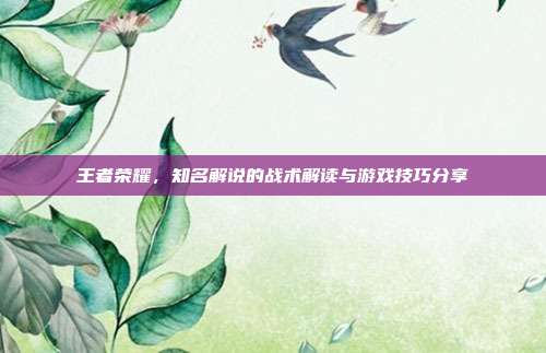 王者荣耀,知名解说的战术解读与游戏技巧分享