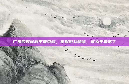 广东的好犀利王者荣耀,掌握游戏精髓,成为王者高手