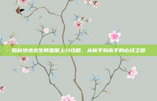 揭秘绝地求生韩国服上分攻略,从新手到高手的必经之路