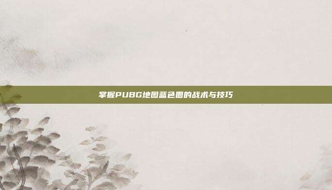 掌握PUBG地图蓝色圈的战术与技巧