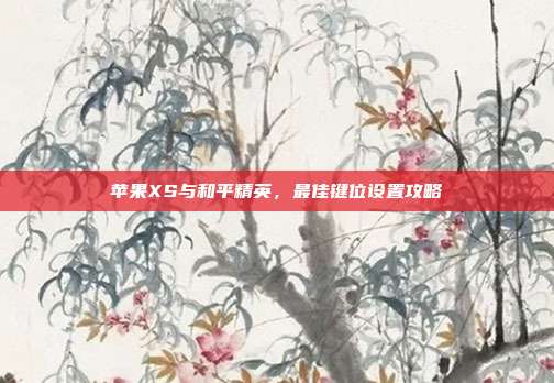 苹果XS与和平精英，最佳键位设置攻略
