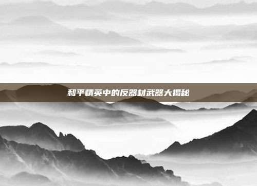 和平精英中的反器材武器大揭秘
