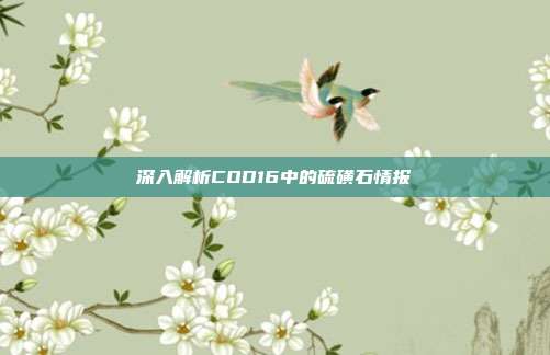 深入解析COD16中的硫磺石情报