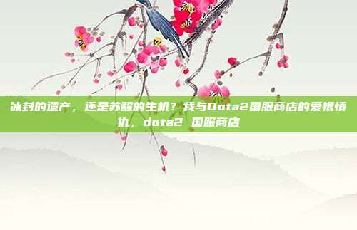 冰封的遗产，还是苏醒的生机？我与Dota2国服商店的爱恨情仇，dota2 国服商店