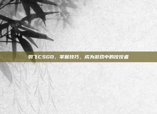 羽飞CSGO,掌握技巧,成为游戏中的佼佼者