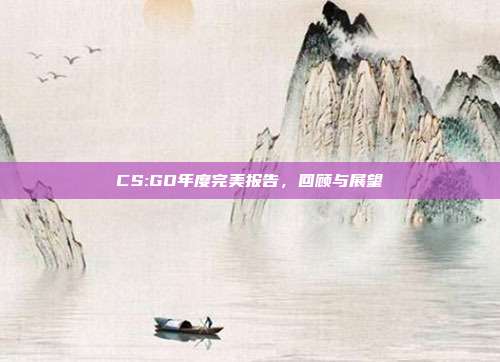 CS:GO年度完美报告,回顾与展望