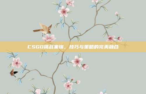 CSGO挑战集锦,技巧与策略的完美融合