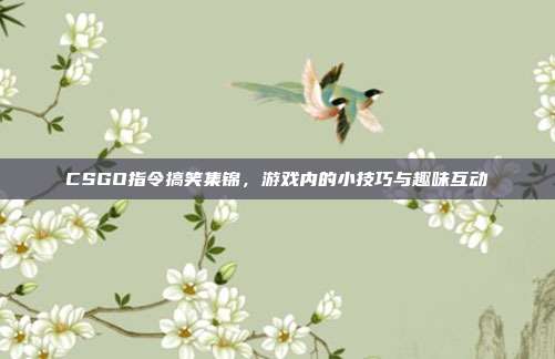 CSGO指令搞笑集锦，游戏内的小技巧与趣味互动