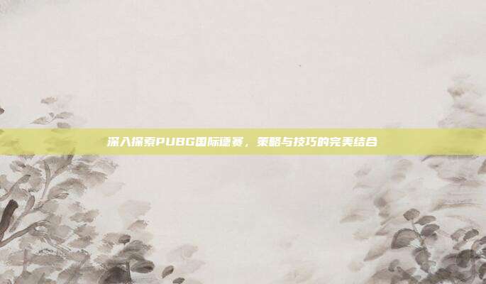 深入探索PUBG国际德赛,策略与技巧的完美结合
