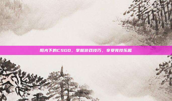 阳光下的CSGO，掌握游戏技巧，享受竞技乐趣