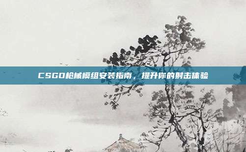 CSGO枪械模组安装指南,提升你的射击体验