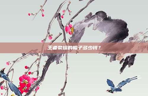 王者荣耀的帽子多少钱?