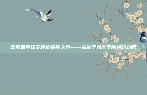 掌握和平精英段位提升之道——从新手到高手的进阶攻略