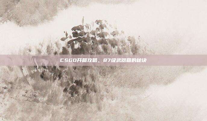 CSGO开箱攻略,87级武器箱的秘诀
