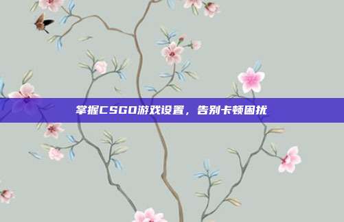 掌握CSGO游戏设置，告别卡顿困扰