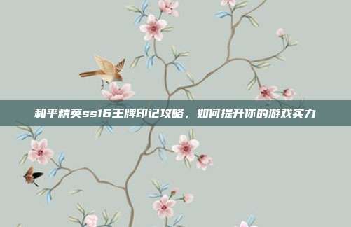 和平精英ss16王牌印记攻略,如何提升你的游戏实力