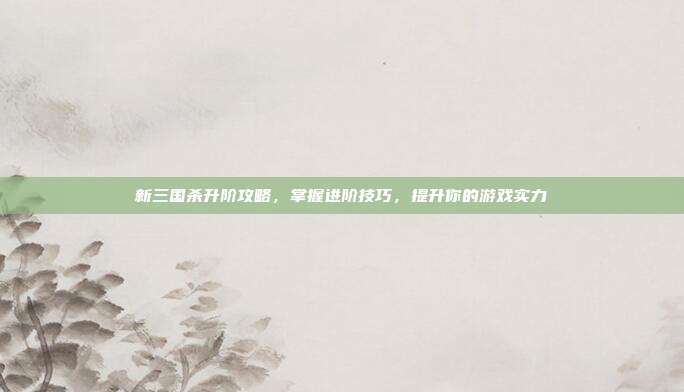 新三国杀升阶攻略,掌握进阶技巧,提升你的游戏实力