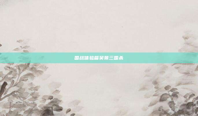 国战体验篇吴景三国杀