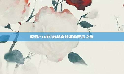 探索PUBG柏林套装备的降价之谜